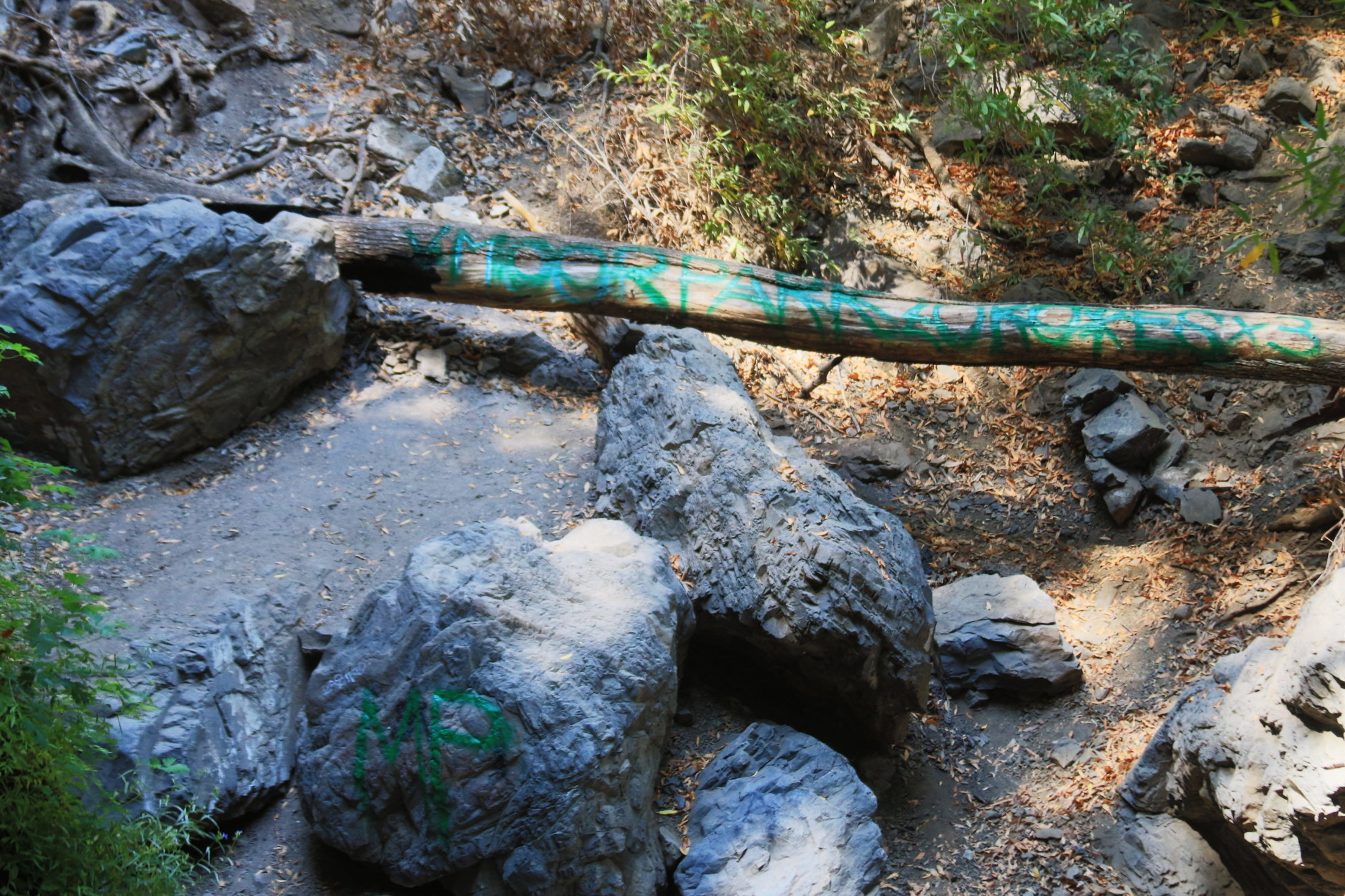 Graffiti in Los Padres national forest
